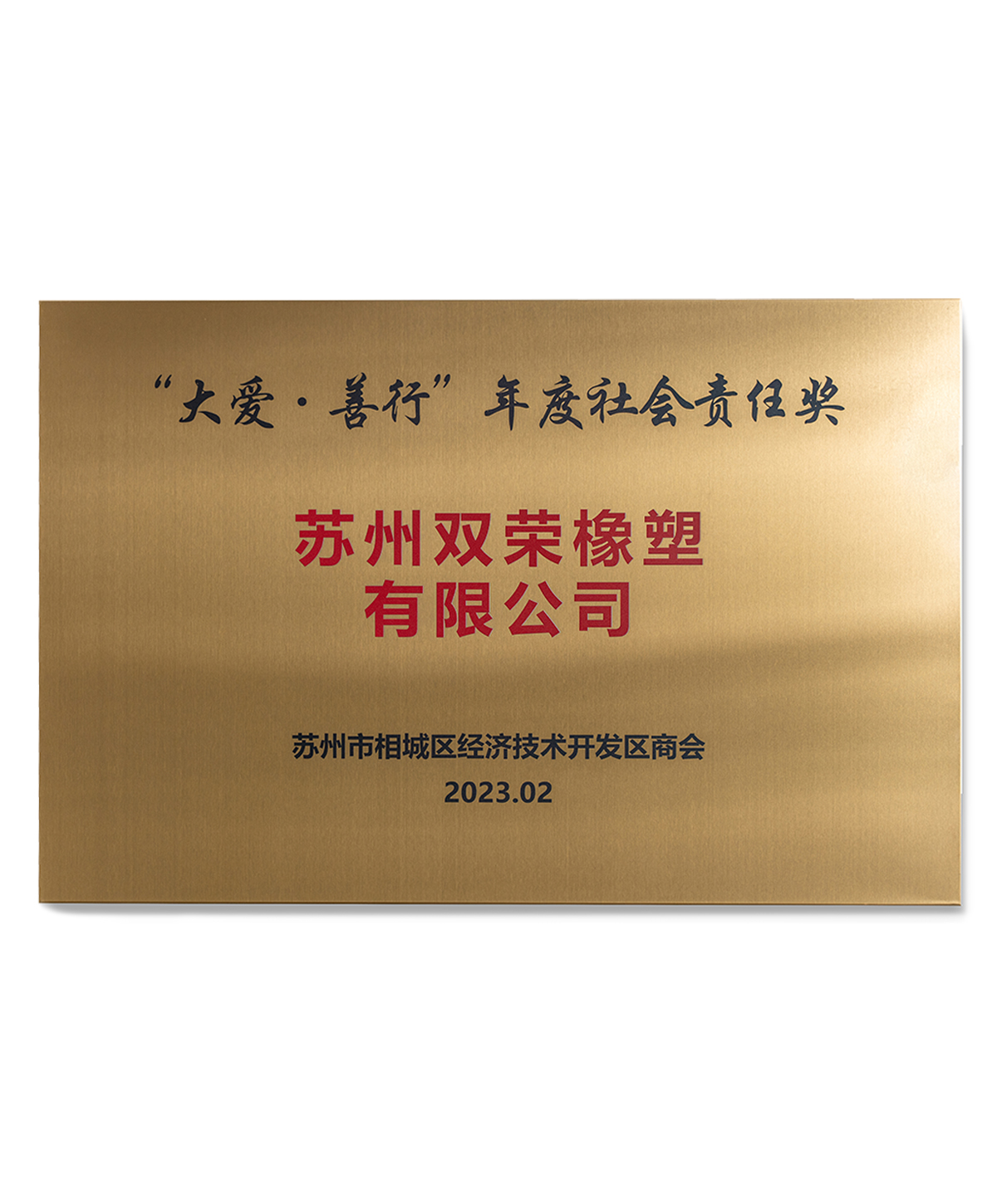 “大爱·善行”年度社会责任奖